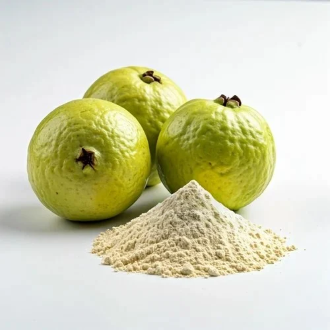 DRY GUAVA FRUIT POWDER