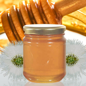 Eucalyptus Honey