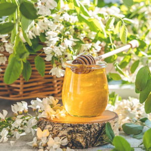 Acacia Honey