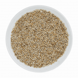 Pearl Millet (Bajra)