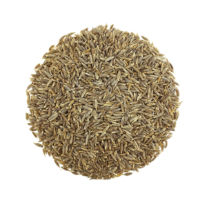 Cumin Seeds (Jeera)